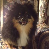 Terry Perkins's photo