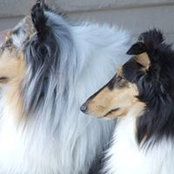 Lynn Parkhurst's photo