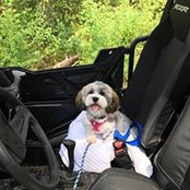 Diane Jezdimir's photo