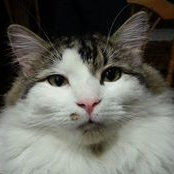 Jean-marc Aubin's photo