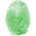 Greenprint Landscapes's profile photo