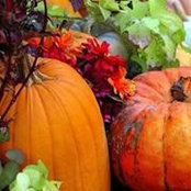 Laurie Brambl's photo