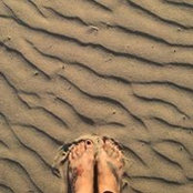 Whitney Cordero's photo