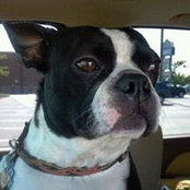 Donna Fordyce's photo