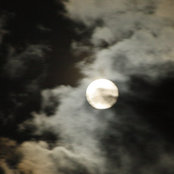 Delese Roberts's photo