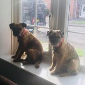Jenny Bradley's photo