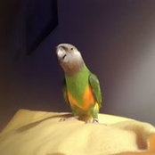 Sheila Batzel's photo
