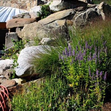 Pool house and native plants