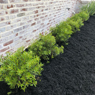 Großer, Halbschattiger Stilmix Garten hinter dem Haus mit Blumenbeet und Mulch in Houston