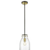 Shelby 1 Light Pendant, Oil Rubbed Bronze and Antique Brass