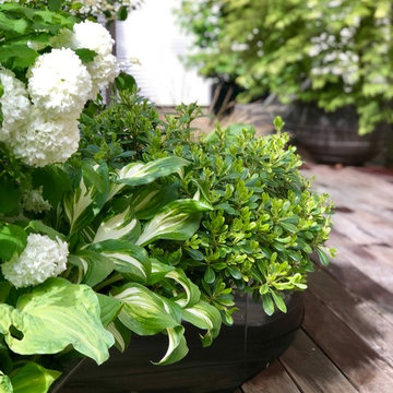 Du vert et des fleurs blanches... C'était notre leitmotiv !