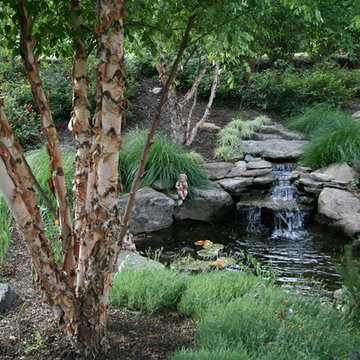 Backyard Patio & Landscape Design, Basking Ridge NJ
