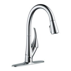 Esque&reg; Kitchen Collection - Kitchen Faucets