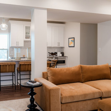 Limekiln Basement Renovation