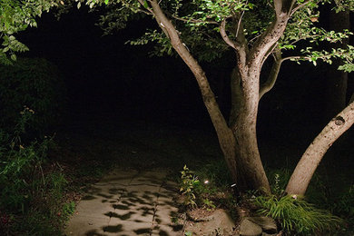 Landscape Lighting