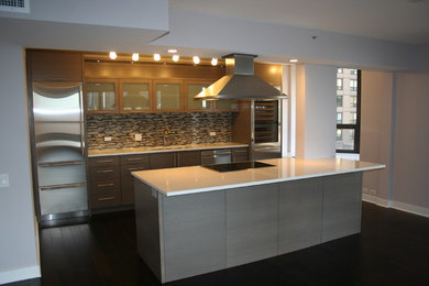 Kitchen - contemporary kitchen idea in Chicago