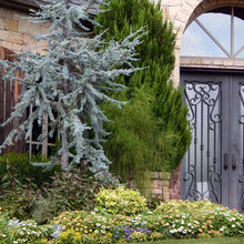 Landscape Ideas