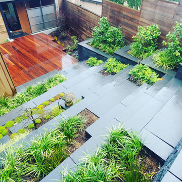 Golden Gate Heights Zen Space