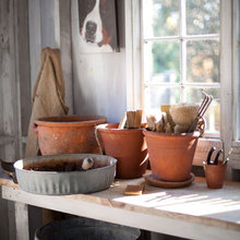 Garden Shed