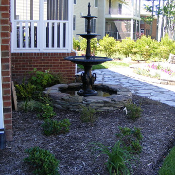 New Home, Backyard from scratch
