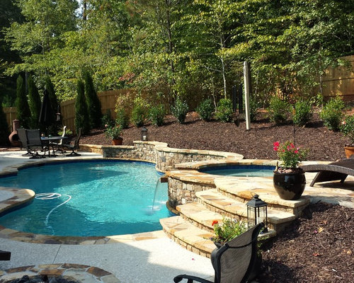 Stone Accented Free Form Pool