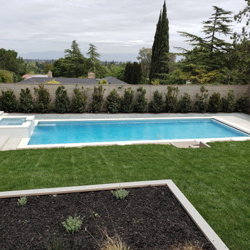 Coral Pool and Spa Portfolio Pictures pt. 4