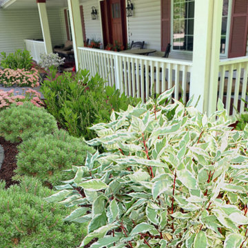Foundation Plantings