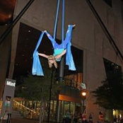 Sheila Shaffer's photo