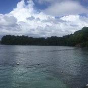 Tameka Hutchinson's photo