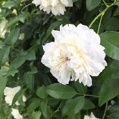 Kelly Lopez's photo