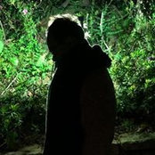 Tim Tsuiさんの写真