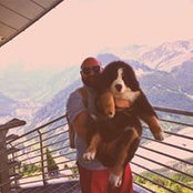 Luky Luca's photo