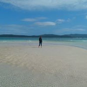 Asli Bassa's photo