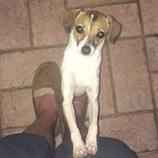 Twiggy Westbrook's photo