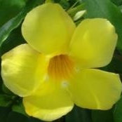 Carol Grabert's photo