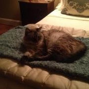 Sue Genton's photo