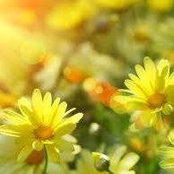 Jennifer Heath's photo