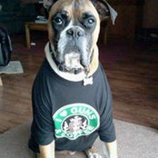 Wendy Maddox's photo