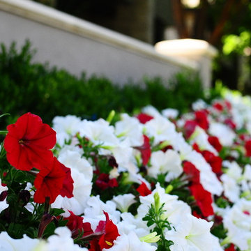 Cherry Creek Formal Elegance