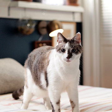 My Houzz: Nature-Inspired Home for Work and Play in New Orleans