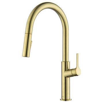 Fusion-T Single Handle Pull Down Kitchen Sink Faucet, Brushed Gold