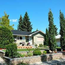Landscape Ideas