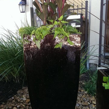Our Work - New Landscape Install