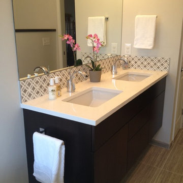 Riggsbee Farms, Cary, NC ~ Master Bathroom Remodel