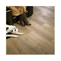 Provenza - Hardwood Flooring
