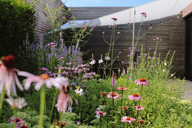 Moderner Garten im Sommer mit direkter Sonneneinstrahlung in Sonstige