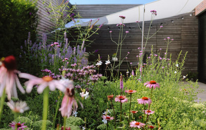 Neubau-Garten: Mit Gärtnertricks weniger Pflege & mehr Größe
