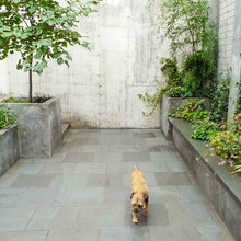 Elizabeth's Houzz Article