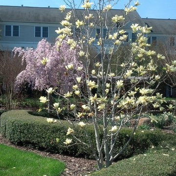 Landscaping at My Place