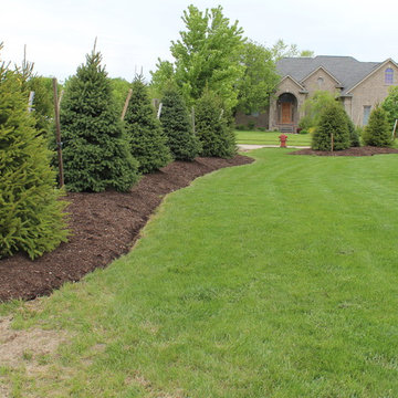 Living Privacy Fence